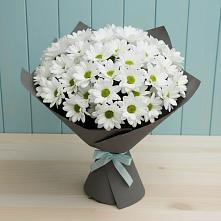 Букет цветов из:  Хризантемы в Слободе